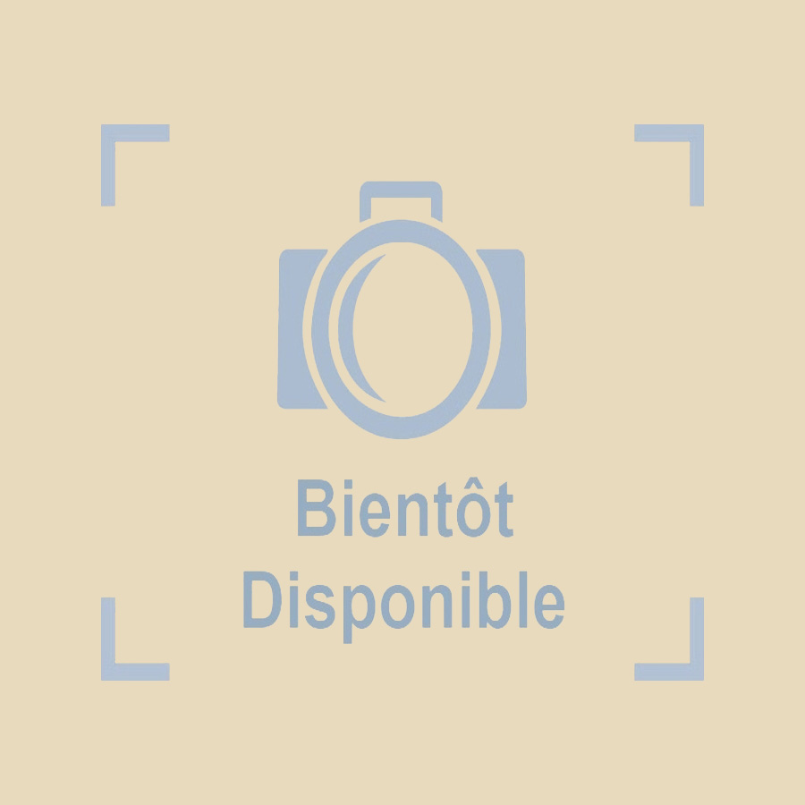 Pistolet squelette jaune SQ pour cartouche 310 ml